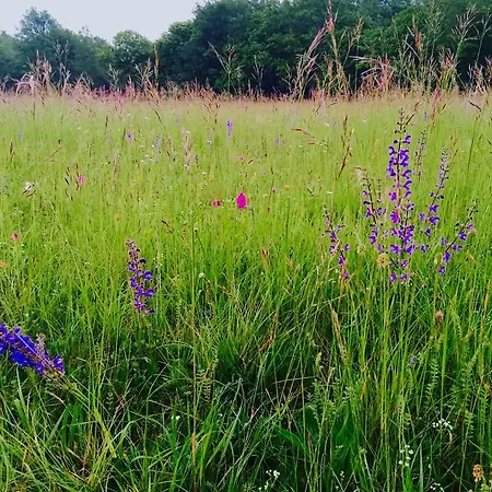 Chateau D'hordosse Andiran